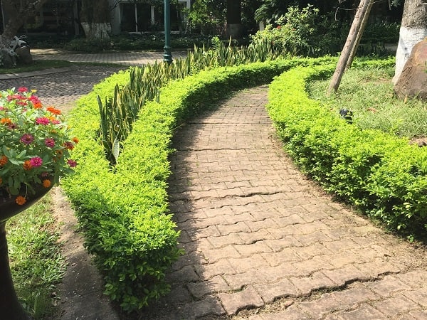 Khu lăng mộ gia tộc và những lưu ý cần biết khi thiết kế số 4 khu-lang-mo-gia-toc-va-nhung-luu-y-can-biet-khi-thiet-ke-so-4